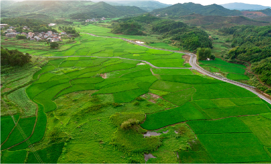 INKBANK Group Supports Rural Revitalization for Second Year, Strengthening Social Commitment