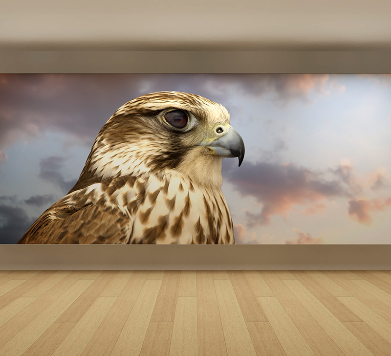 Medium UV-LED Curable Ink